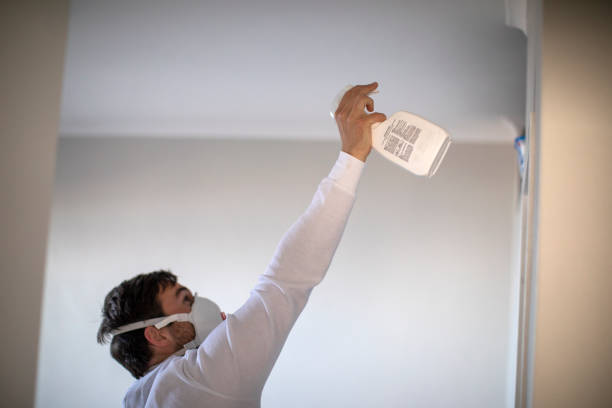 Water Damage Restoration in St Elmo, IL